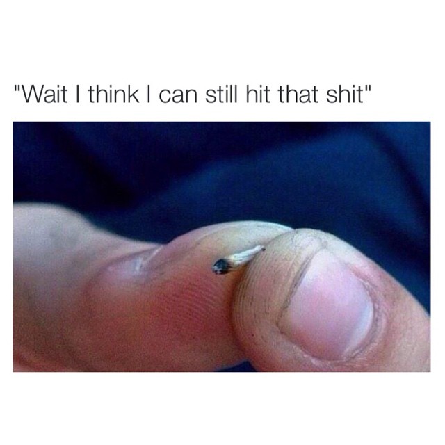 Not even a roach, that shit is a flea