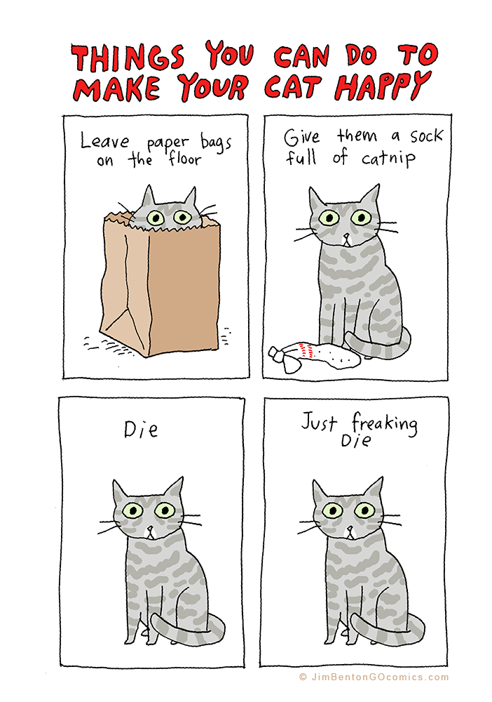 things you can do to make your cat happy