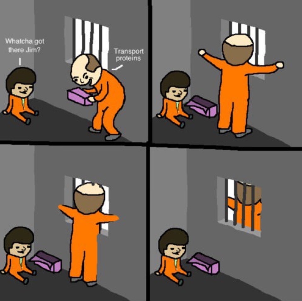 It's a cell wall