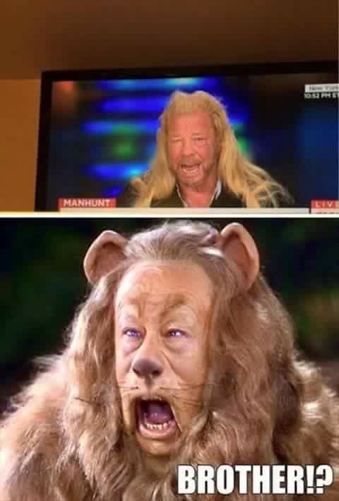 Twins!