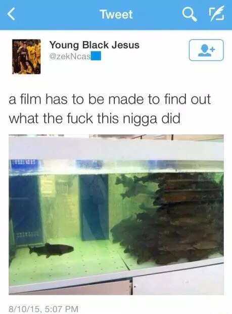 Put his fins in solitary