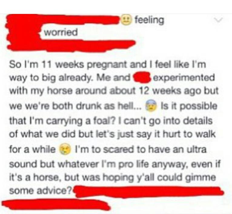 Woman thinks she's pregnant with a horse