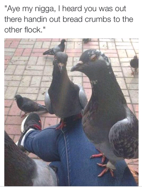 This birdie nigga needs to chill fam
