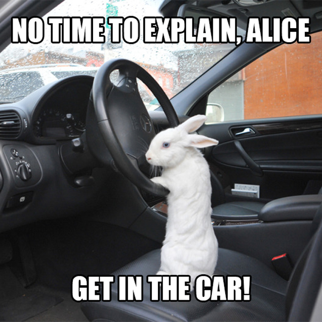 No time to explain, Alice