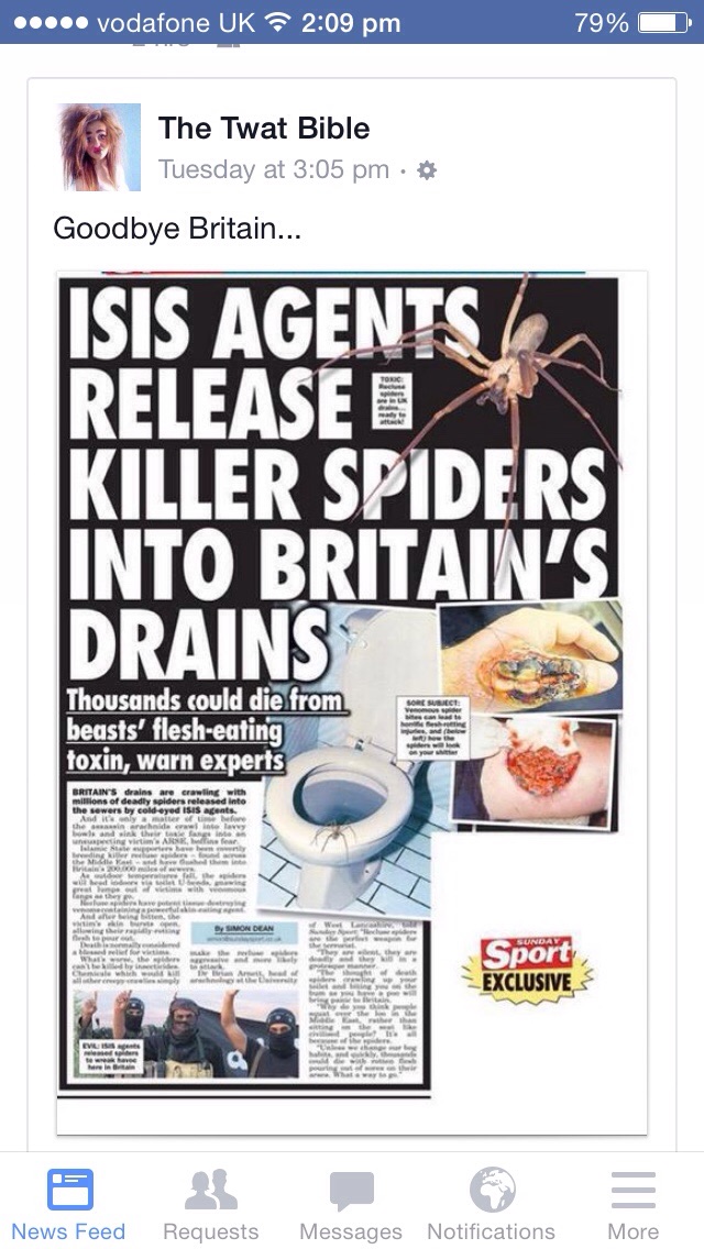Jihaddy longlegs