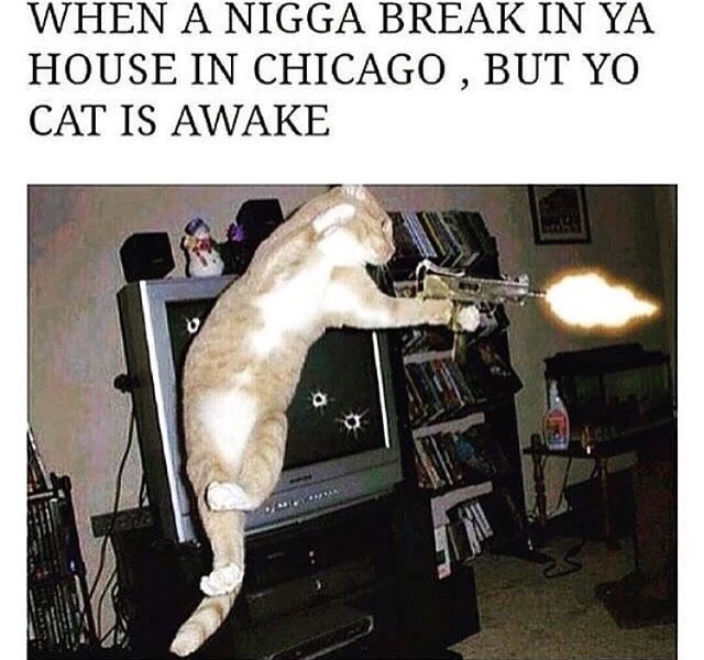 Every household member gotta be strapped..