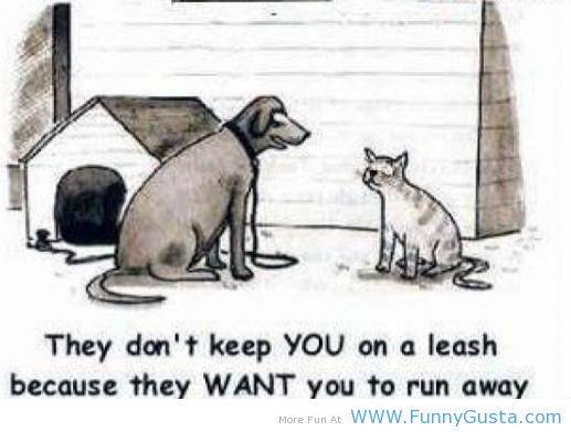 Dog explaining life to a cat...