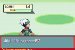Wild Bosh appears!