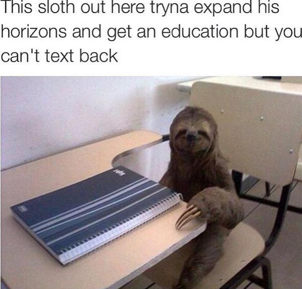 Sloth stay true