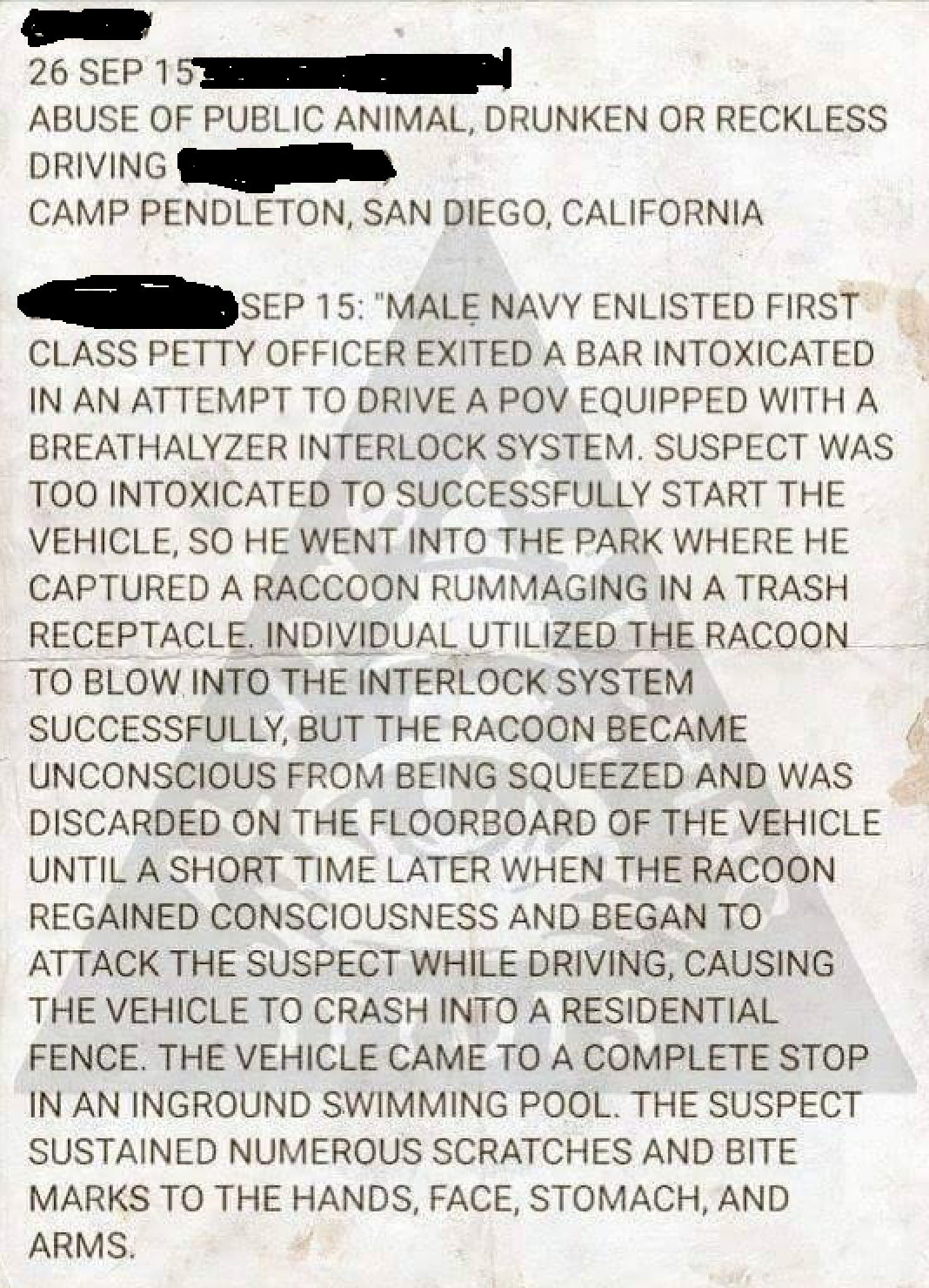 "Individual utilized the raccoon"