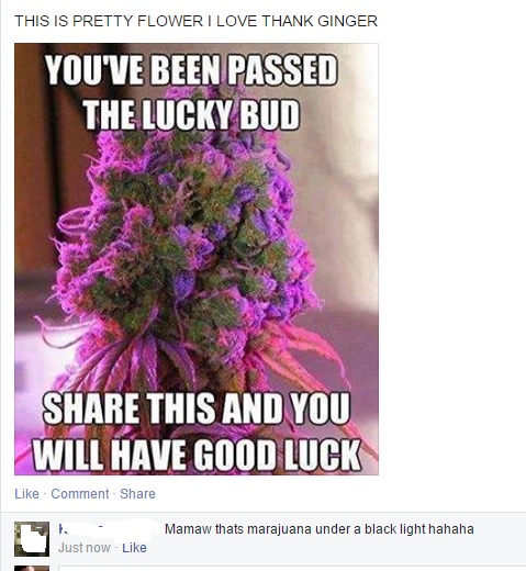 That's not a flower, Mamaw...