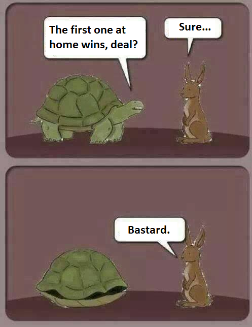 The real hare and tortoise