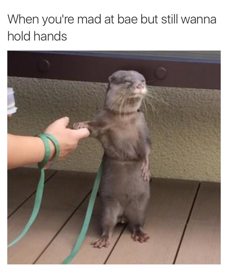 Better than seeing otter people