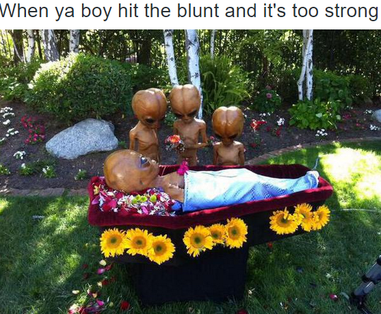 Worth it