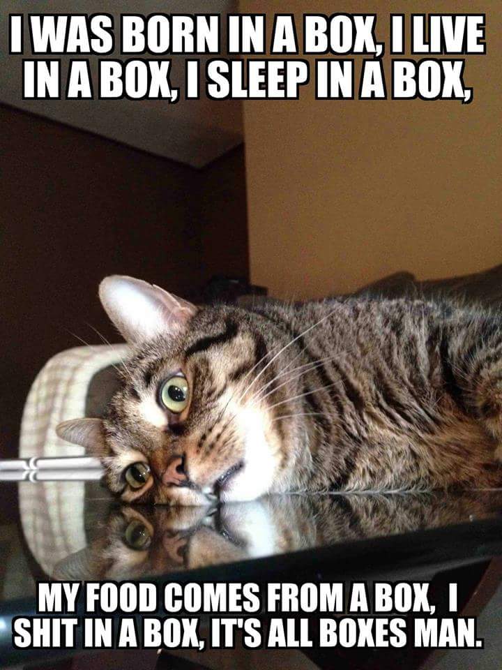 The box philosophy