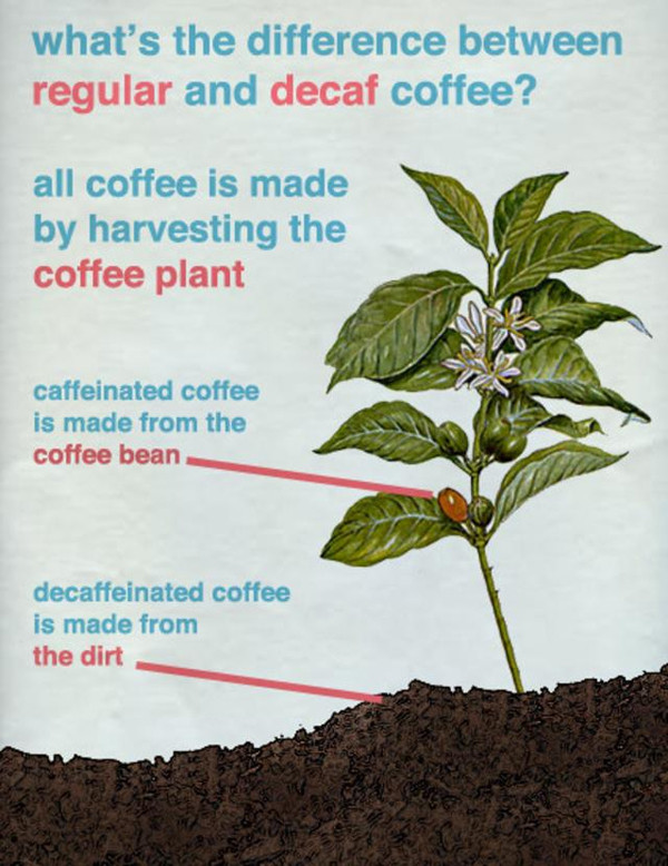 How decaf coffee is made