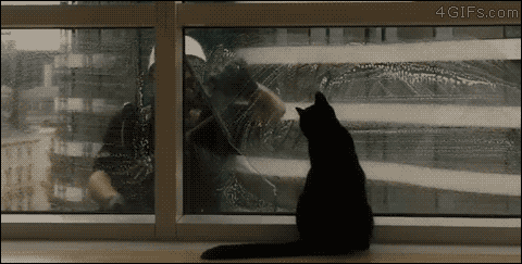 The window washer's favorite apartment