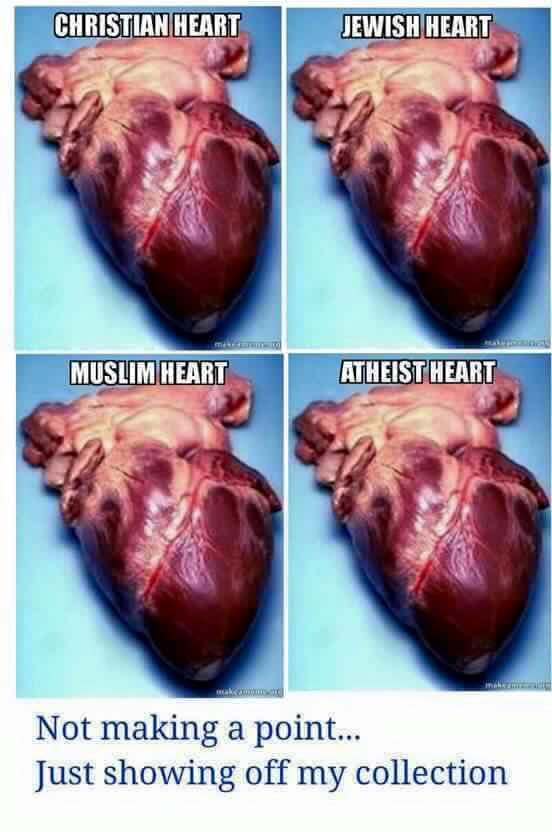 What the human heart looks like from each religion.