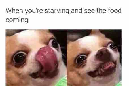 When your food is coming