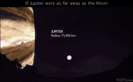 If Jupiter were as far away as the Moon (the little white circle is our Moon) [GIF]