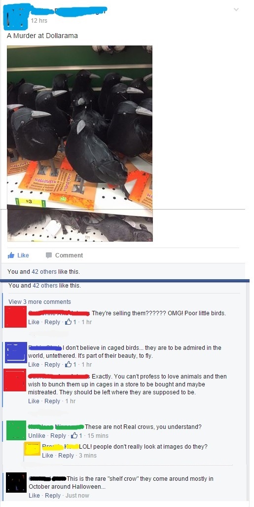 Facebook Fail-Save the Birds!