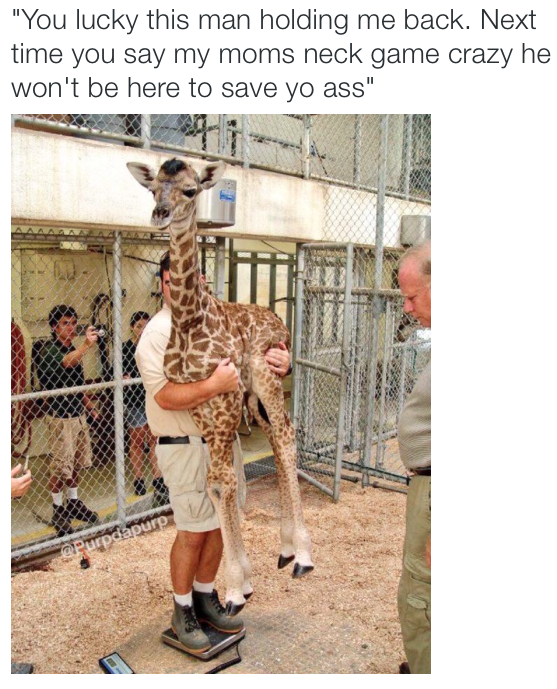 that giraffe becky