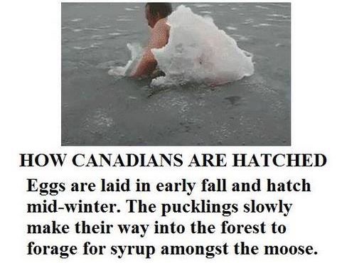 It's almost time for Canadian mating season