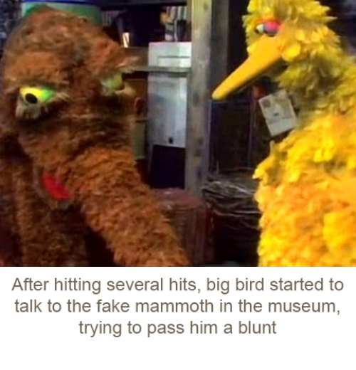 Big bird high af