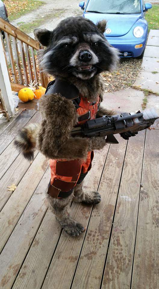 This little kid ruled his halloween school party