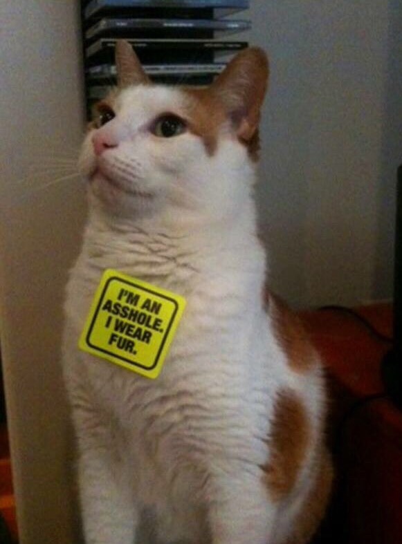 The right way to use peta's stickers.