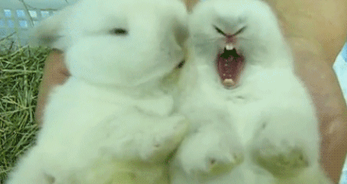 I'z gunna eat you