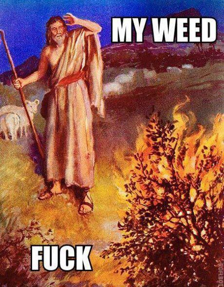OMG my weed!
