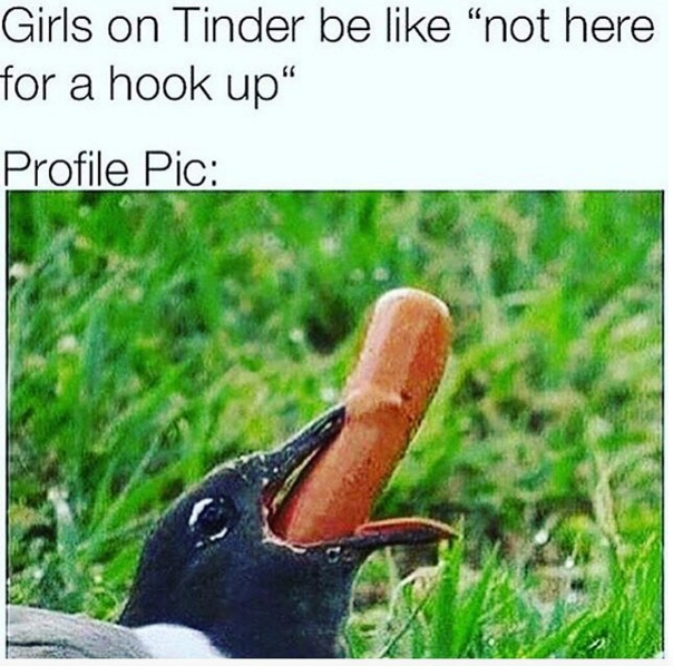 Girls On Tinder