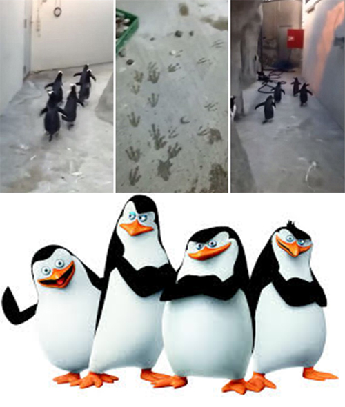 Smile and wave boys, smile and wave