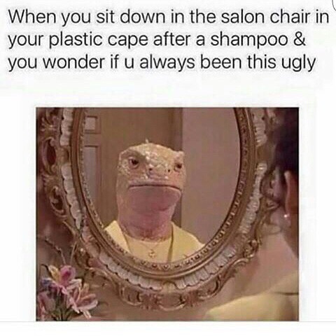 In the salon chair