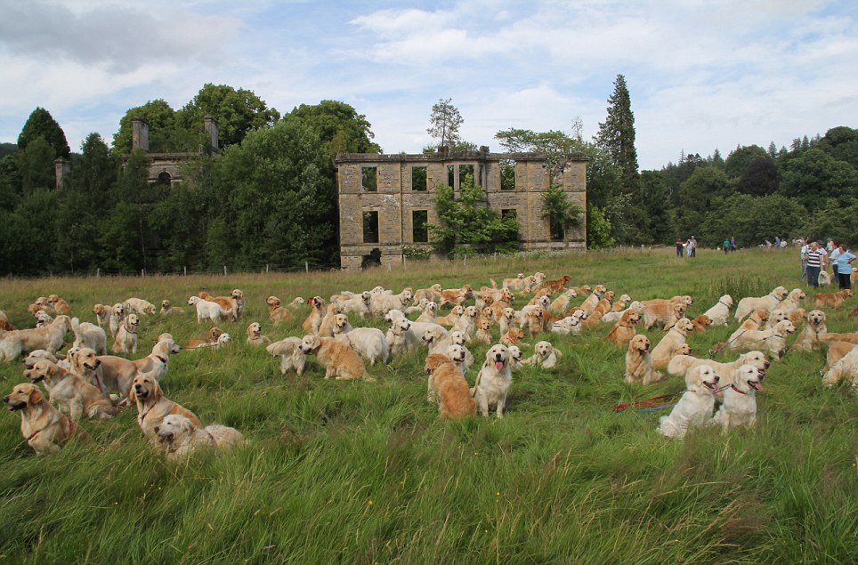 Imagine what would happen if you threw a tennis ball into this field...