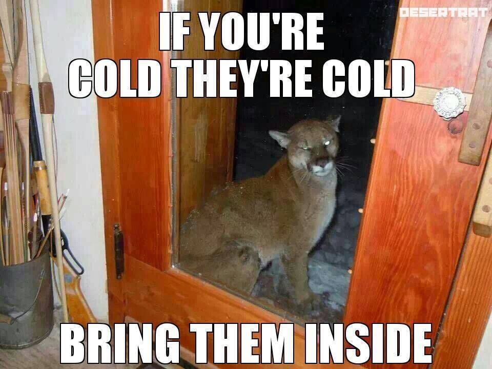 It's getting close to winter. Don't forget about your animals.