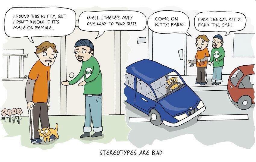 Stereotypes are bad.