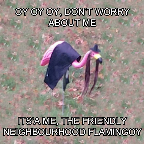 When people are anxious to click on a new meme because it could be a jewish flamingo