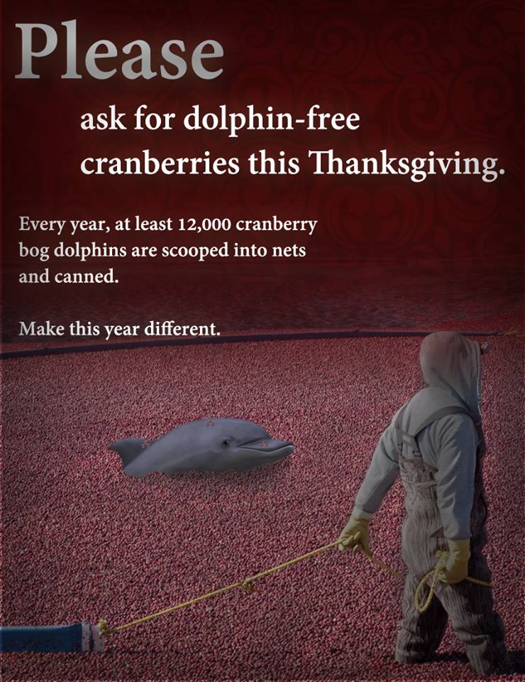 think of the dolphins!