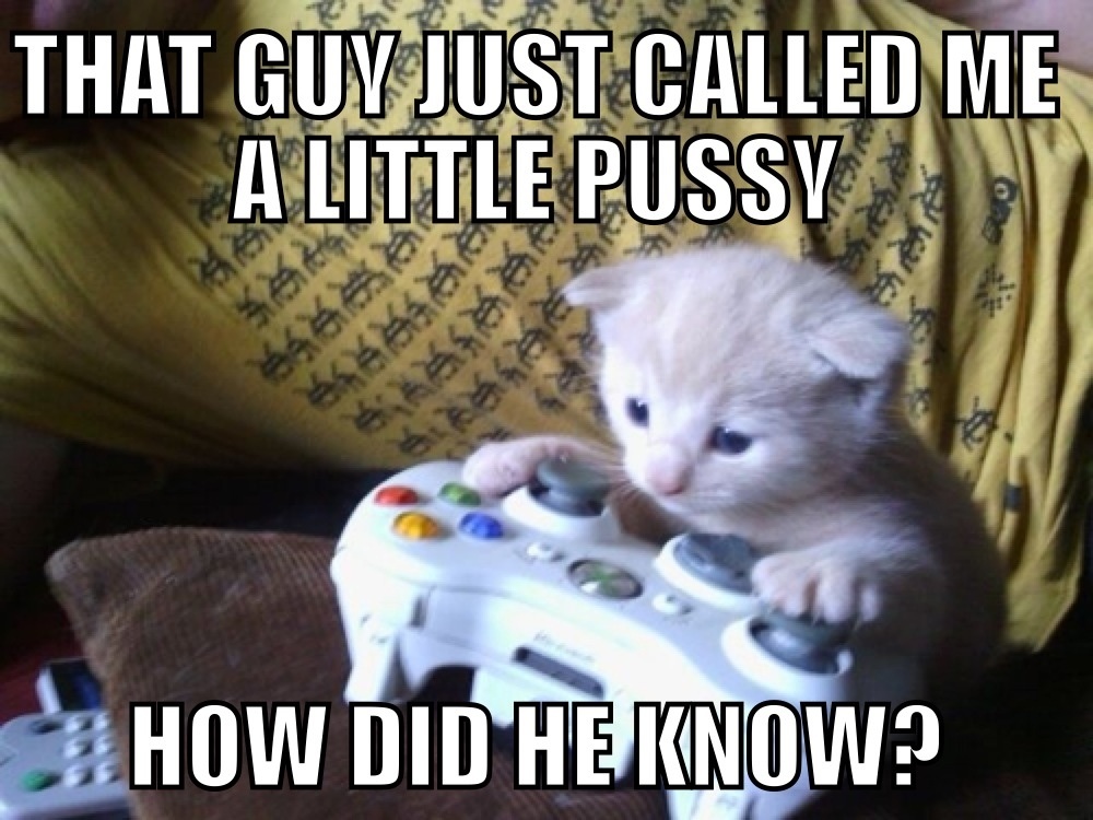 Gamer Kitten