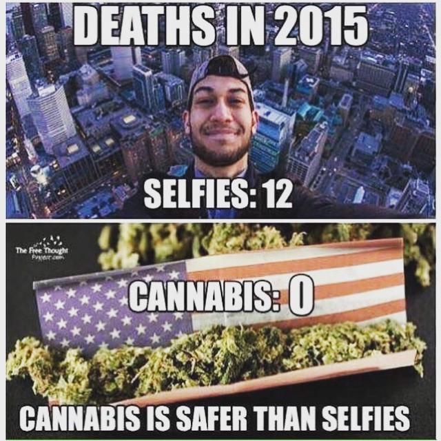 Cannabis vs. Selfies