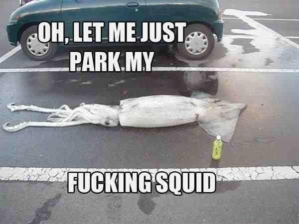 Go home Squidward, You're drunk