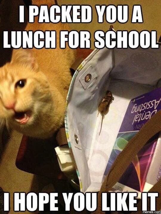 Mmm thanks cat