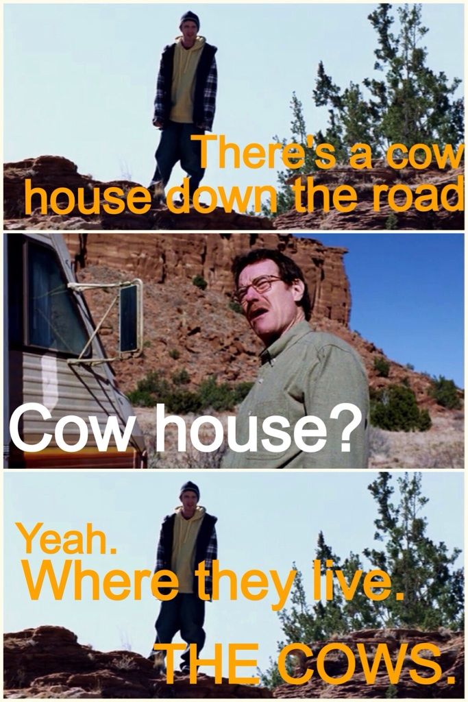 Decided to start watching Breaking Bad again. This scene always gets me