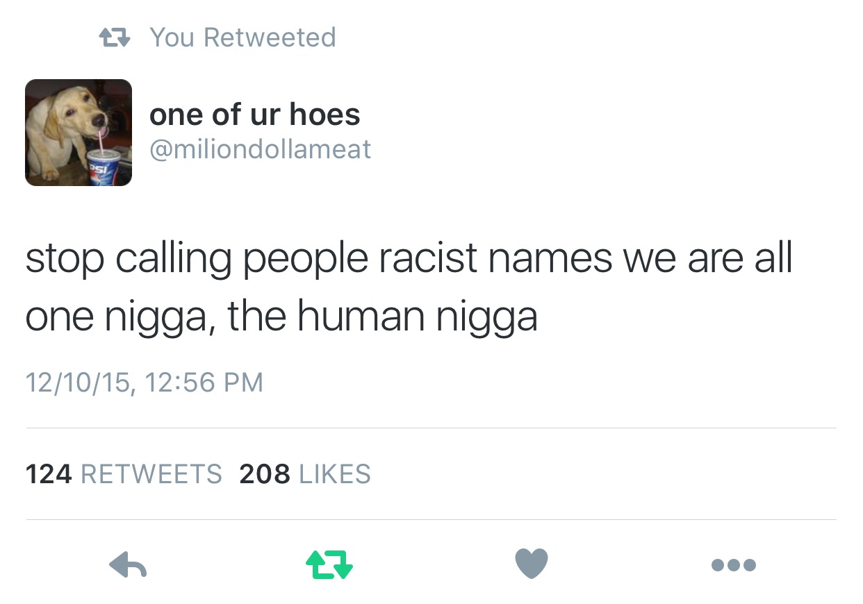 You a nigga. He a nigga. Them some niggas. We all niggas.