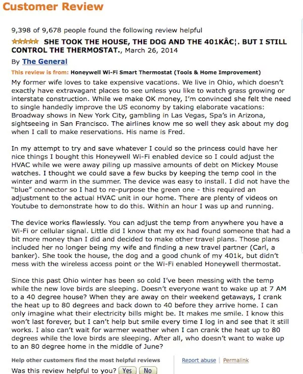 This guys Amazon review