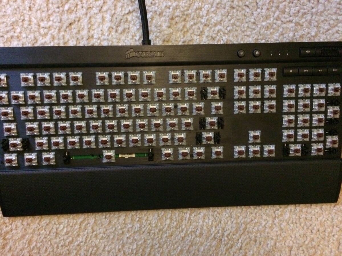 Mods are asleep! Quick, post nudes!