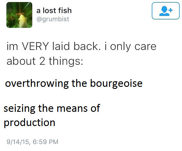 meâ˜­irl