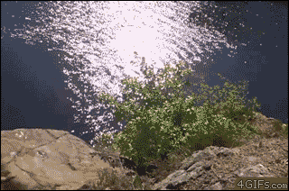 Dive Fail